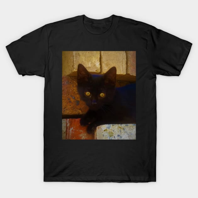 Black Kitten T-Shirt by Fitra Design